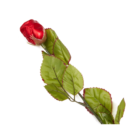 Chocolate Rose, 20g